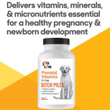 Bitch Pills | Dog Prenatal Vitamins | Prenatal Vitamins for Dogs | Prenatal for Dogs | Thomas Pet Earlier | 120 Tablets