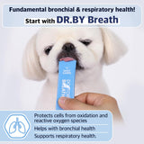 Doctor By Breath Bronchial Supplements for Dogs - Dog Cough Relief - for Dry, Wet & Barkly Pet Cough (1 Pack)