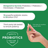 Probulin Women’s Health Probiotic + Prebiotic for Vaginal, Gut & Immune Health - 20 Billion CFU - 12 Probiotic Strains, 30 Vegan Capsules