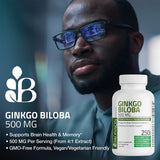 Bronson Ginkgo Biloba Extra Supports Brain Function & Memory Support, 360 Vegetarian Capsules