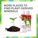 Youngevity Plant Derived Liquid Minerals - 77+ Natural Unaltered trace minerals - 19,000mg Plant Mineral Solids - Colloidal Form Humic Shale - (32 oz Pack of 3)