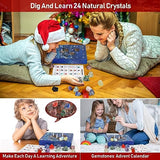 JELMOK Advent Calendar 2024, 24 Days Natural Healing Crystal Gemstones Minerals & Fossils Advent Calendar Crystals Christmas Calendar Enthusiasts Rocks Collection for Xmas Girls Boys Kids Men Women