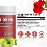 AMLA GREEN Tea Powder Supplement with Hibiscus 30 servings