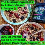 Vegan Brain & Body Boost: The Cherry On Top of A Plant-Based Lifestyle | Working Intelligence | Anti-Aging | Physical Fitness | Vegan Amino Acids - Creatine, Taurine & Beta Alanine | 40 Servings/300g