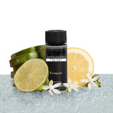 Aroma360 - Escapade Pro Pod 50ML - Fragrance Oil Scent - Luxury Aromatherapy Scent Diffuser Oil - Hints of Lemon, Ocean, Bergamot, & Fragrant Jasmine - for Essential Oil Diffusers - for Home & Office