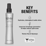 Kenra Daily Provision Leave-In Conditioner | Hydrates, Detangles, & Adds Shine | Tames Frizz & Flyaways | Thermal Protection | Helps To Resist Humidity | All Hair Types | 8 fl. Oz (2-Pack)