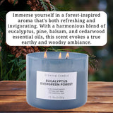 Eucalyptus Evergreen Forest Luxury 3 Wick Winter Pine Candle | Mens Candles, Scented Candles for Home | Aromatherapy Stress Relief Soy Candles 15.8 oz | Balsam Fir Woods Candles for Men & Women