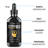 Think Above Vitamin B2 Riboflavin Liquid Drops - B2 Vitamin Supplement - 2 oz 60 ml - for Men and Women