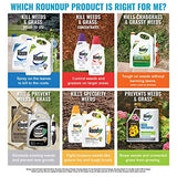 Lot of 2: Roundup Super Concentrate Weed & Grass Killer - 35.2 oz.