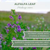 Organic Alfalfa Leaf 4 oz. (113g), USDA Certified Organic Alfalfa Leaf Herb Loose Leaf Tea, Medicago Sativa Herb, Alfalfa Tea Leaves, Cut & Sifted