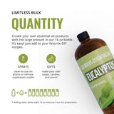 LAB BULKS ESSENTIAL OIL - Eucalyptus Oil 16 Ounce Spray Bottle for Diffusers, Home Care, Candles, Aromatherapy (1 Pack)