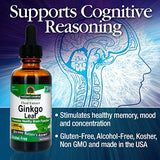 Nature's Answer Alcohol-Free Ginkgo Leaf 2000mg 2oz Extract | Stimulates Memory, Mood & Concentration | Gluten-Free, Kosher Certified & No Preservatives | Single Count