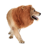 TOMSENN Realistic & Funny Lion Mane for Dogs - Complementary Lion Mane for Dog Costumes for Medium to Large Sized Dogs