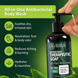 Antibacterial Body Wash - Antibacterial Soap And Tea Tree Body Wash For Jock Itch, Athletes Foot, Eczema And Back Acne - Anti Bacterial Body Soap For Men And Women Safe For All Skin Types - 2 Pack