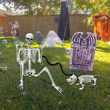 Lodou 5.4Ft Posable Life Size Human Adult Skeletons Plastic Human Bones with Movable Joints for Halloween Decoration