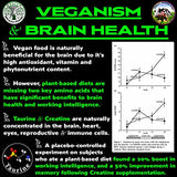 Vegan Brain & Body Boost: The Cherry On Top of A Plant-Based Lifestyle | Working Intelligence | Anti-Aging | Physical Fitness | Vegan Amino Acids - Creatine, Taurine & Beta Alanine | 40 Servings/300g