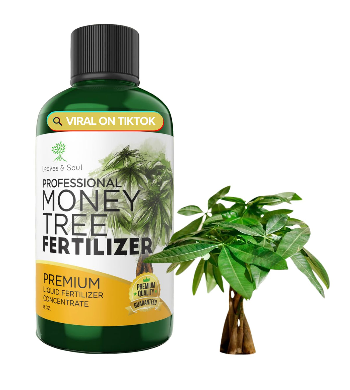Professional Money Tree Fertilizer Liquid 3-1-2 Concentrate 8 oz, Prem