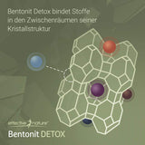 EFFECTIVE NATURE - Bentonite Detox - 400 g - Certified Medical Device for Binding Heavy Metals in the Body - 100% Ultra Fine - Made in Germany - No Unwanted Additives