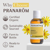 Pranarom - USDA Certified Organic French Arnica Virgin Plant Oil - 2 fl oz Glass Bottle - Massage Oil for Body, Relaxing, Soothing for Joints & Muscles