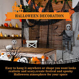 5Pcs Halloween Creepy Cloth Black 30×72inch - Halloween Decorations Clearance - Creepy Spooky Halloween Decorations Outdoor Indoor