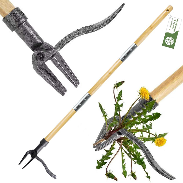 RexWeed Weed Puller Tool, Stand Up Heavy Duty Weed Remover Tool with Long Handle – 4-Claw Steel Head Weeder for Dandelions, Bamboo Garden Hand Weeding Tool, No Kneeling for Easy Root Removal