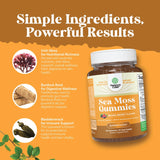 Sea Moss Gummies for Adults and Kids - Vegan Adult and Kids Immune Support Gummies with Burdock Bladderwrack and Sea Moss Gel - Delicious Berry Flavor Sea Moss Supplement Men Women and Children 30ct