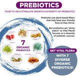 Vital Planet - Vital Flora Women Over 55 Daily Probiotic, 60 Billion CFU, Diverse Strains, Organic Prebiotics, Vaginal and Immune Support, Digestive Health Probiotics for Women 30 Capsules