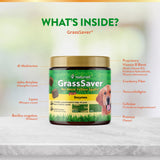 NaturVet – GrassSaver Supplement for Dogs – Healthy Supplement to Help Rid Your Lawn of Yellow Spots – Synergistic Combination of B-Complex Vitamins & Amino Acids – 120 Soft Chews