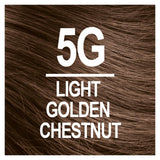 Naturtint Permanent Hair Color 5G Light Golden Chestnut (Pack of 6), Ammonia Free, Vegan, Cruelty Free, up to 100% Gray Coverage, Long Lasting Results