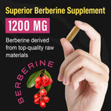 Berberine Supplement 1200mg Berberine HCL - High Bioavailability Microbeadlet Complex-AMPK Activator Support Cardiovasular Health for Women Men 90 Vegan Capsules