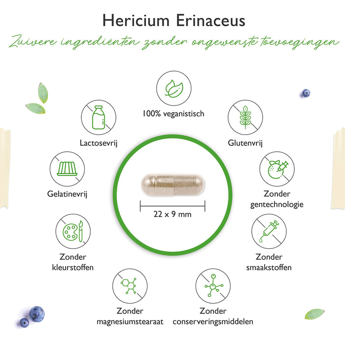 Hericium Erinaceus Paddenstoel - 1300 mg per dagelijkse portie - 180 Capsules - Premium: 30% Polysacchariden & 5% Beta Glucan- Hoge Dosis - 100% Egel stekelige Paddenstoel Extract - Veganistisch