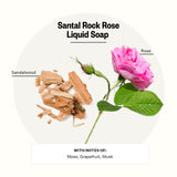 APOTHEKE Liquid Hand Soap, Santal Rock Rose (10 Fl Oz) - Hydrating Hand Wash with Natural Coconut & Aloe Vera