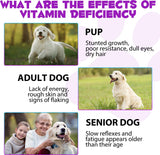 Dog Multivitamin - 15 in 1 Multivitamin Drops for Dogs, Dog Vitamins with Glucosamine Cranberry Supports Joint & Digestion, Skin & Coat, Pets Supplements for Dogs of All Ages, Bacon Flavor - 2 Fl Oz