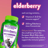 Vitafusion Elderberry Gummy Vitamins 90ct and Vitamin D3 Gummy Vitamins 150ct for Bone, Teeth and Immune Support