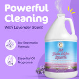 Sunny & Honey Pet Stain & Odor Miracle - Enzyme Cleaner for Dog and Cat Urine, Feces, Vomit, Drool (Light Lavender Scent, 1 Gallon)