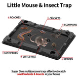 LULUCATCH Mouse & Insect Traps, Heavier Sticky Traps with Non-toxic (12 Pack)