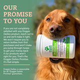 Doggie Dailies Probiotics for Dogs, 225 Soft Chews, Advanced Dog Probiotics with Prebiotics, Promotes Digestive Health, Supports Immune System and Overall Health (Pumpkin)