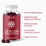 WellPath Ceylon Cinnamon Gummies 2-Pack | Sugar Free | Antioxidants | Joint Support | Non-GMO, Vegan, Gluten Free | 120 Ct