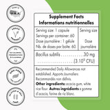 Supersmart - Bacillus Subtilis 3 Billion CFU per Day (High Potency) - Spore Probiotic Supplement | Non-GMO & Gluten Free - 60 DR Capsules