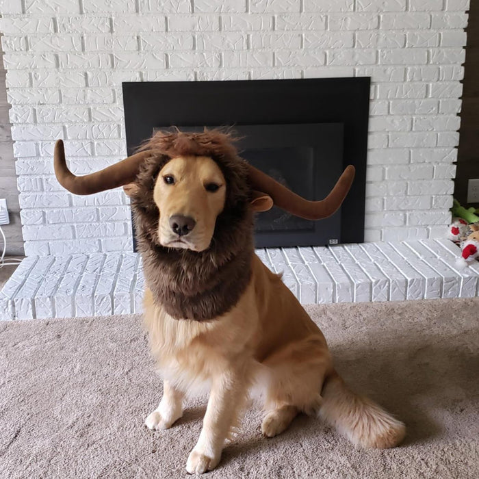 Funny Pet Moose Costumes for Dog, Cute Furry Pet Wig for Halloween Christmas, Pet Clothing Accessories (Bull, Size M)