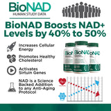 BioNAD NAD+ Booster | Sirtuin Activator | Anti Aging | Proven Nicotinamide Riboside Booster | Metabolic Activator | Boosts NAD+ and Natural Energy | Vegan Friendly | 60 Capsules