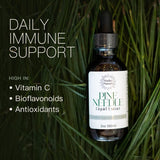 Pine Needle Extract - Made from Wildcrafted Eastern White Pine Needles - Organic Tincture - High in Shikimic Acid - Immune Support Drops