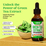 Green Tea 2500mg 10:1 Extract 50% EGCG - Green Tea Liquid Drops - Vegan, 4X More Powerful than Pills & Capsules - 2oz Antioxidant & Immune Supplement - Skin, Heart Support, Brain Health & Memory Boost