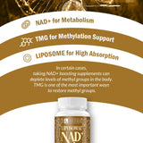 Liposomal NAD+ Supplement with TMG – 120 Softgels – Non-GMO – Supports Cellular Energy & Wellness