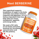 21-in-1 Berberine Blend – 1500mg Capsules with Ceylon Cinnamon & Green Tea Extract