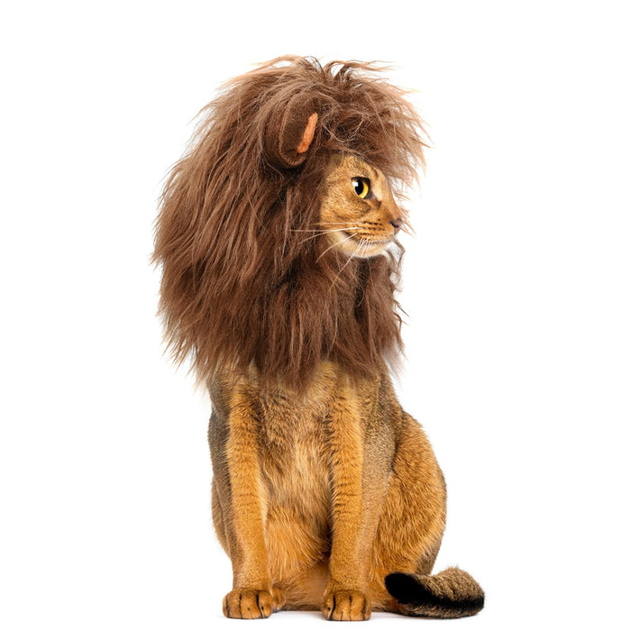 Onmygogo Lion Mane Wig for Cats and Dogs, Funny Pet Cat Costumes for Halloween Christmas, Furry Pet Clothing Accessories (Size S, Coffee)