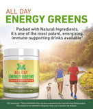 IVL - All Day Energy Greens - Supplement Powder Mix Drink, Greens Powder Superfood - Super Greens Blend for Optimal Nutrition, Energy & Digestion, Green Juice Superfood Boost