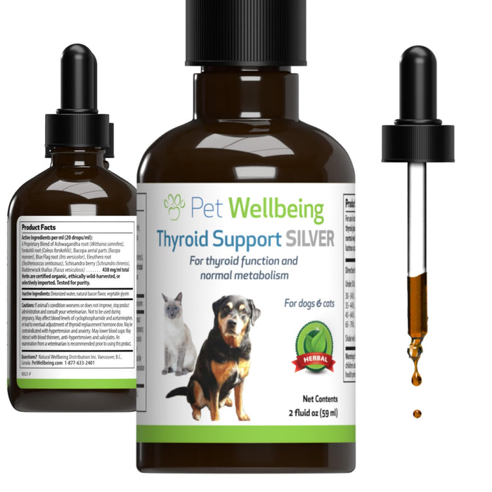 Pet Wellbeing Thyroid Support Silver for Dogs - Vet-Formulated - Supports Underactive Thyroid in Canines - Natural Herbal Supplement 2 oz (59 ml)