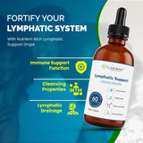 Caribou Nutrition Lymphatic Drainage Drops - Lymphatic Drainage Supplements for Immune Support | High Potency Lymphatic Support Drops with Elderberry and Echinacea | 60 Servings - 4oz