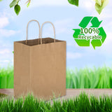 Toovip 50 Pack 8x4.75x10 Inch Medium Plain Brown Kraft Paper Bags with Handles Bulk, Gift Bags for Favors Grocery Retail Party Birthday Shopping Business Goody Craft Merchandise Take Out Sacks